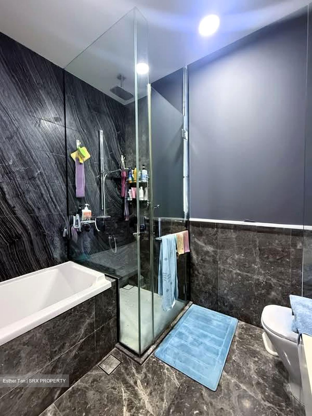 Alana (D28), Terrace #565271021